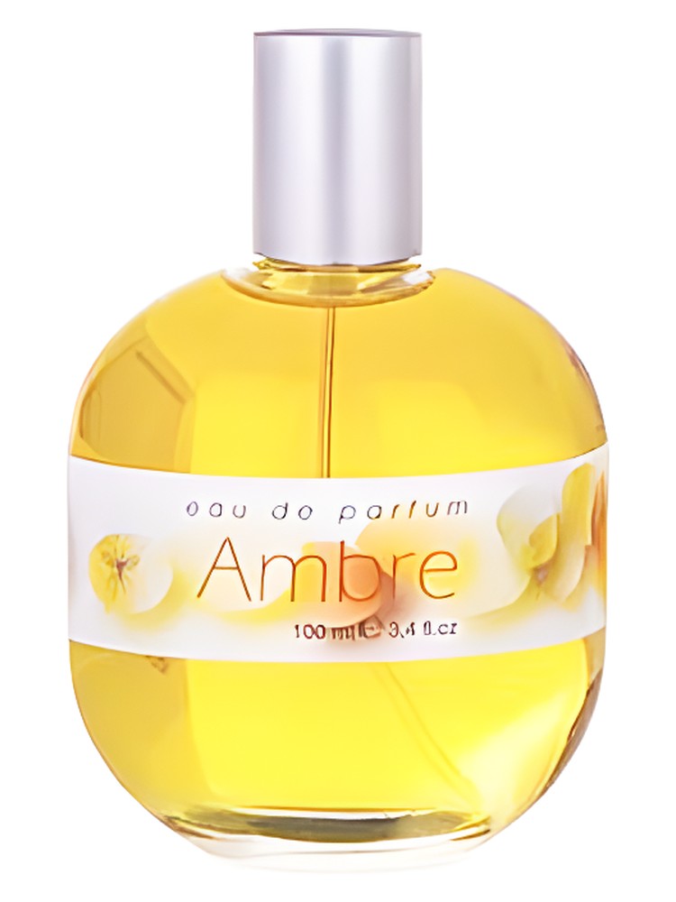 Ambre – Place des Lices