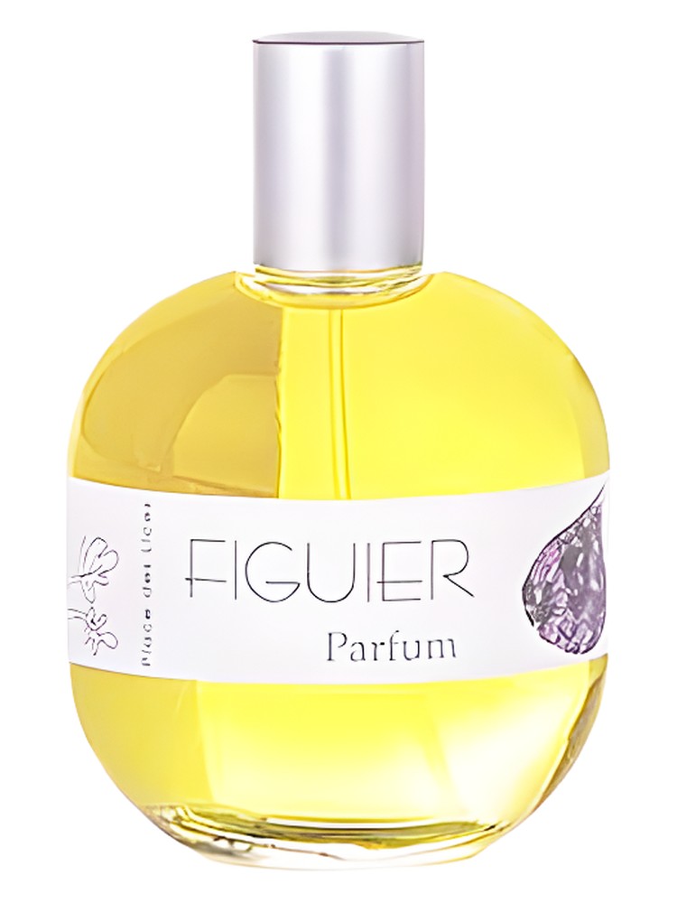 Figuier – Place des Lices