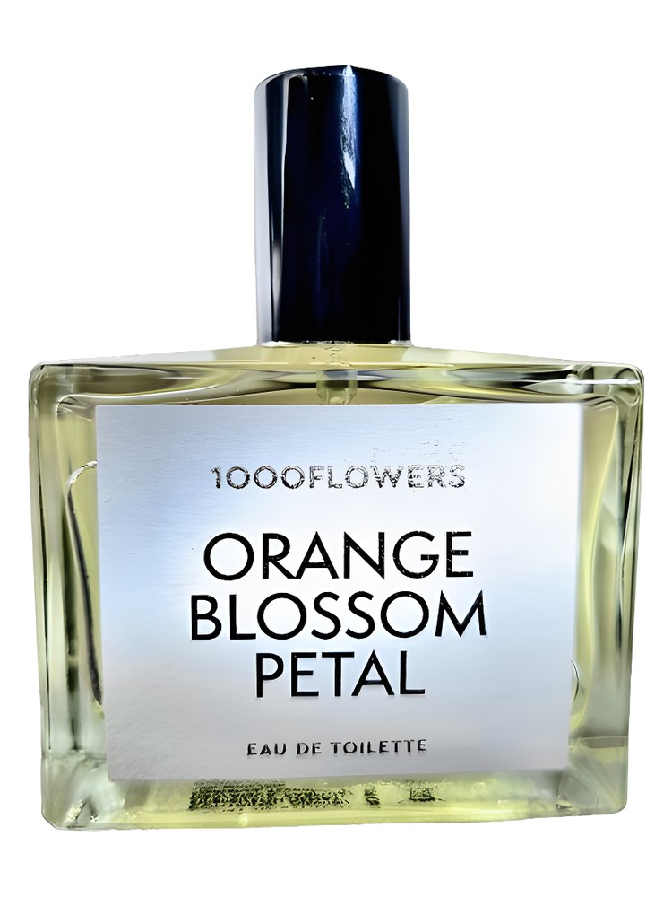 Orange Blossom Petal – 1000 Flowers