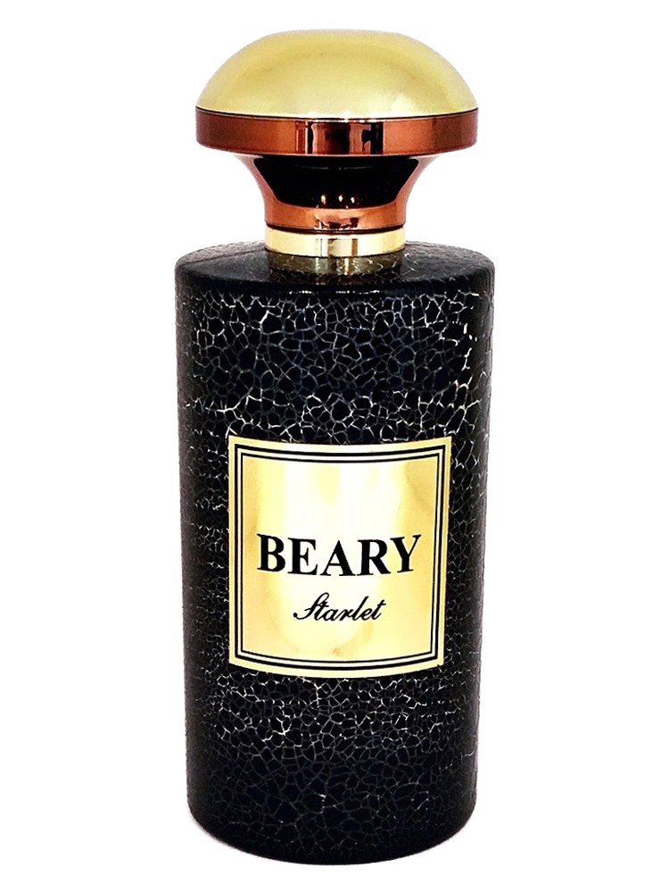Starlet – Beary