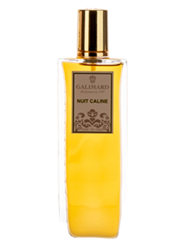 Nuit Caline – Galimard