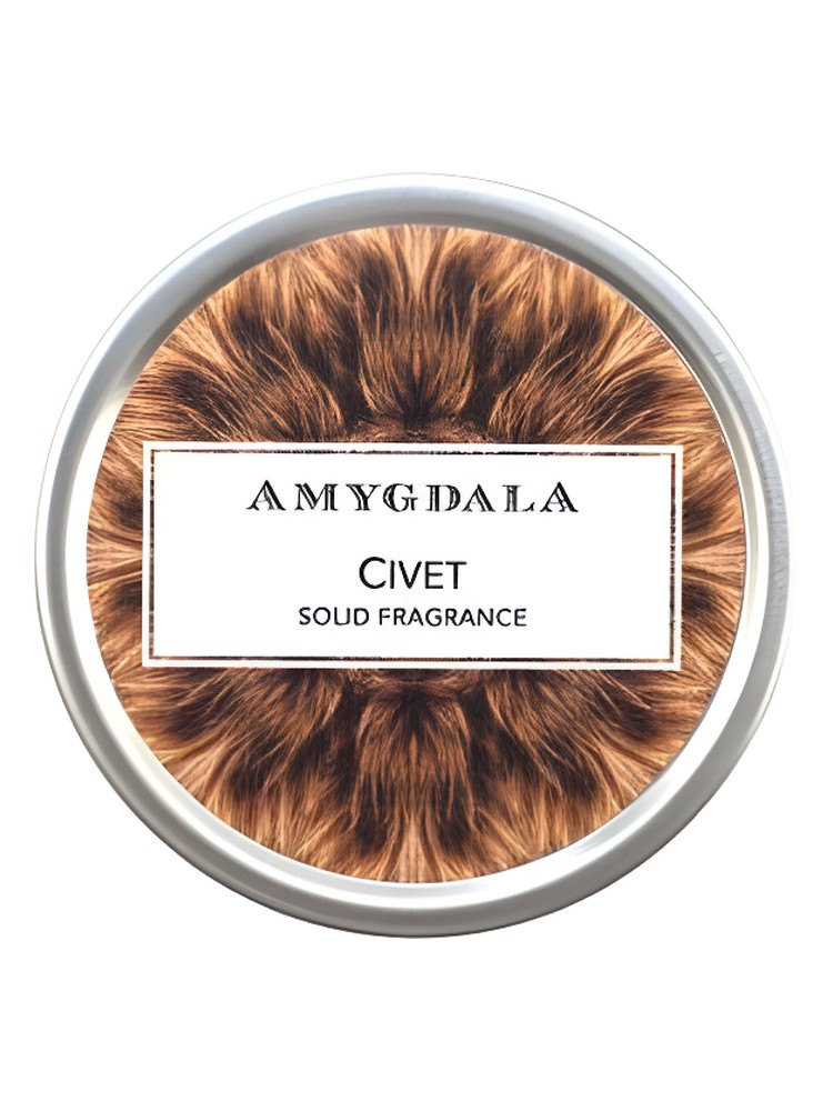 Civet – Amygdala