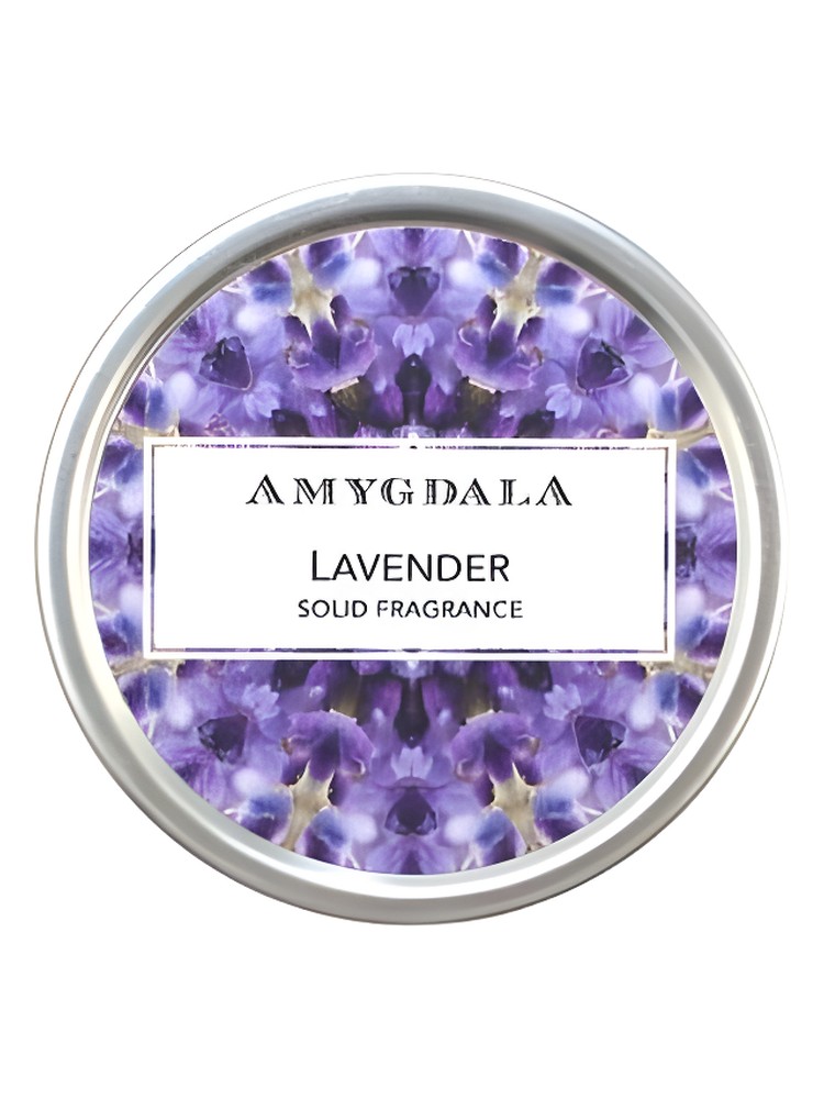 Lavender – Amygdala