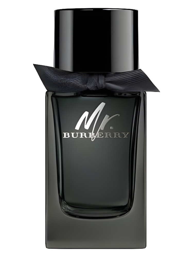 Mr. Burberry Eau de Parfum – Burberry