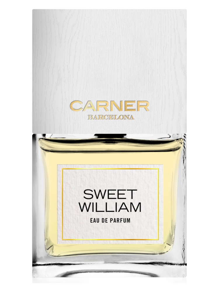 Sweet William – Carner Barcelona