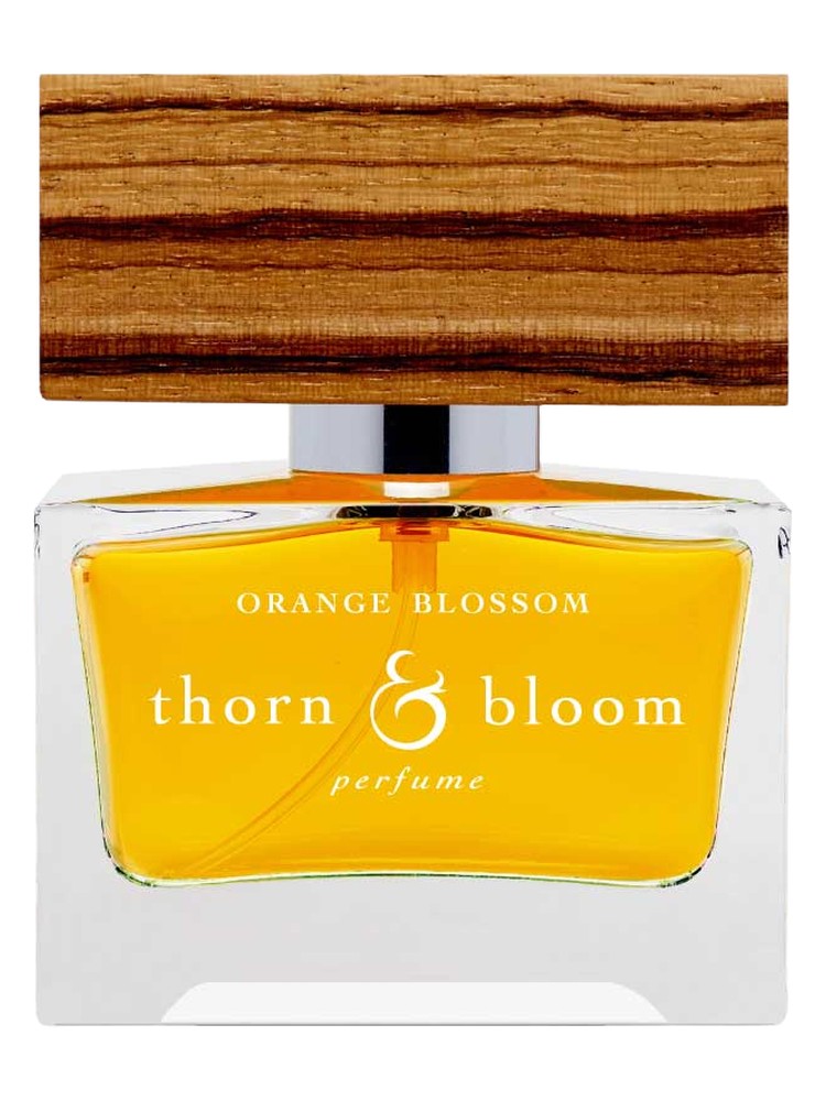 Orange Blossom – Thorn & Bloom