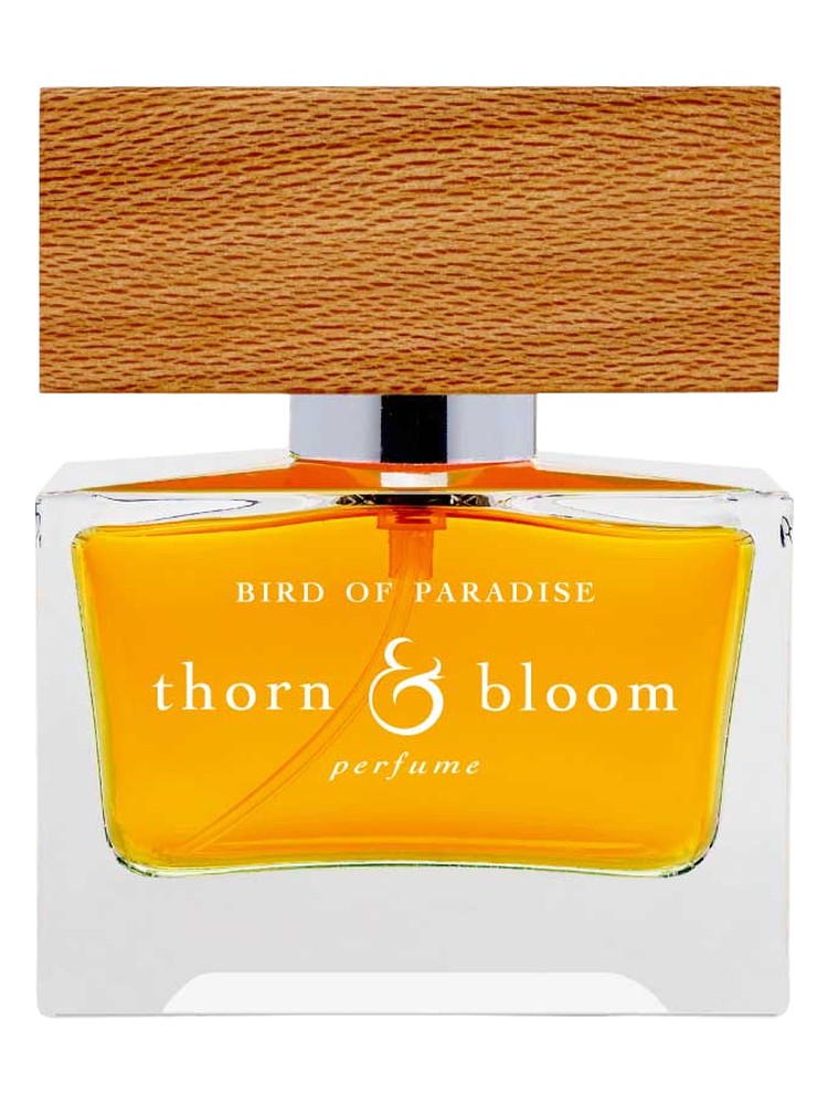 Bird of Paradise – Thorn & Bloom