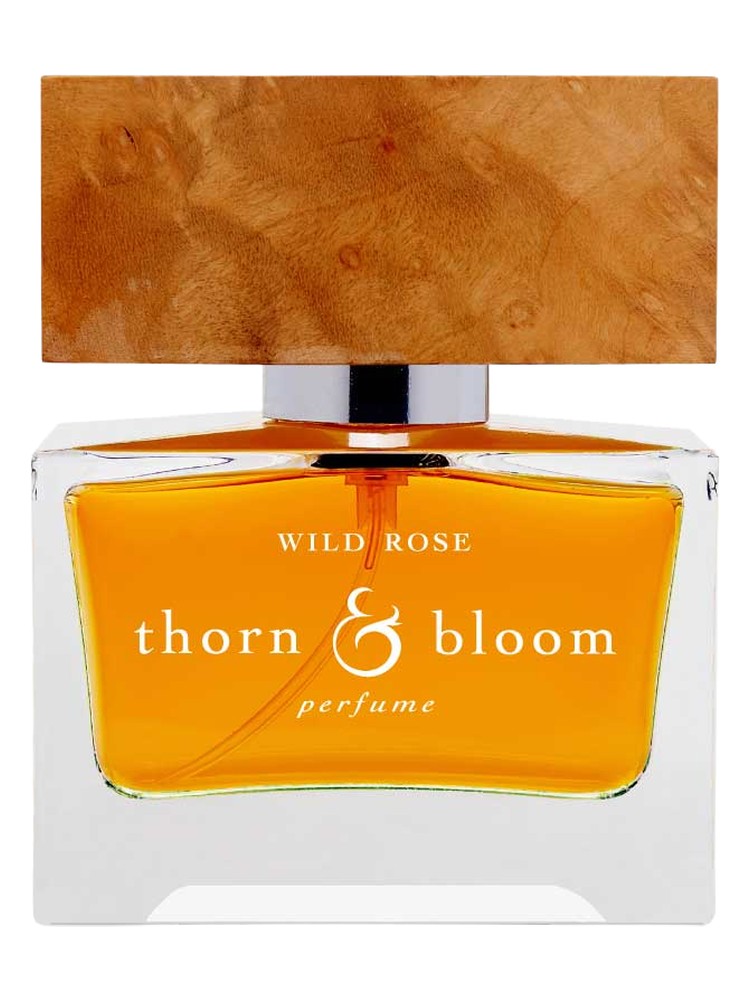 Wild Rose – Thorn & Bloom
