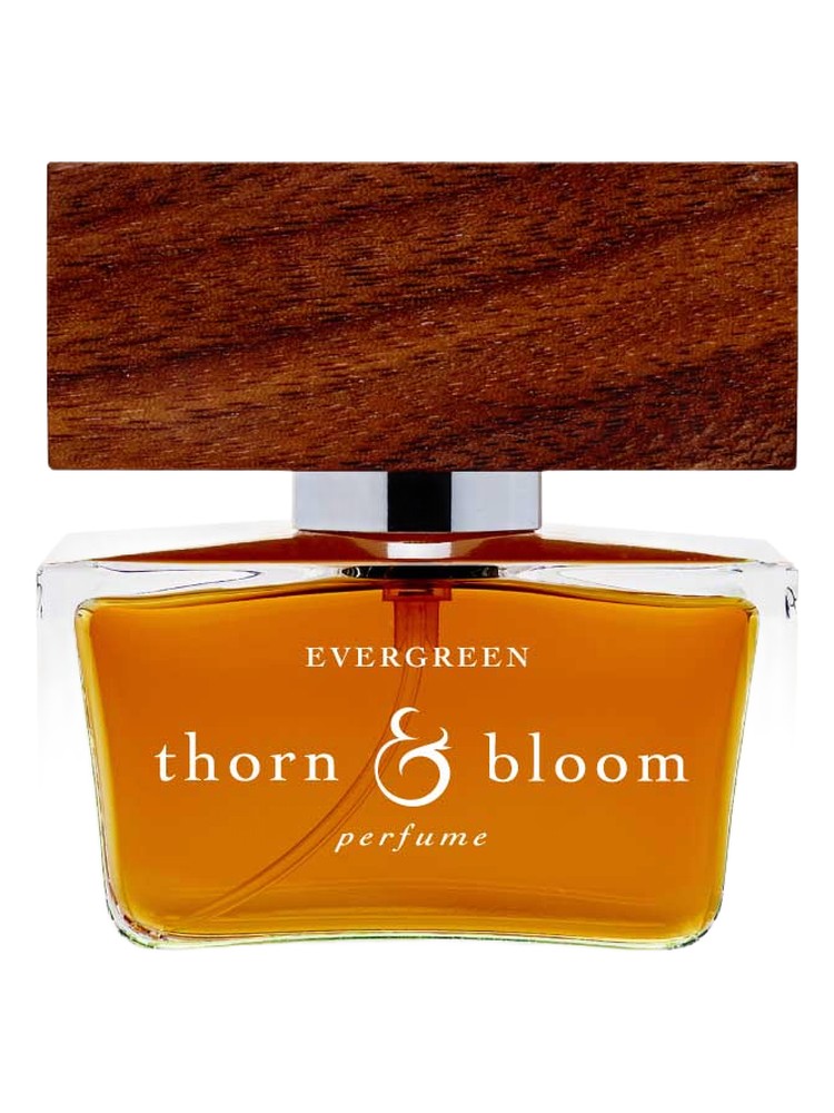 Evergreen – Thorn & Bloom