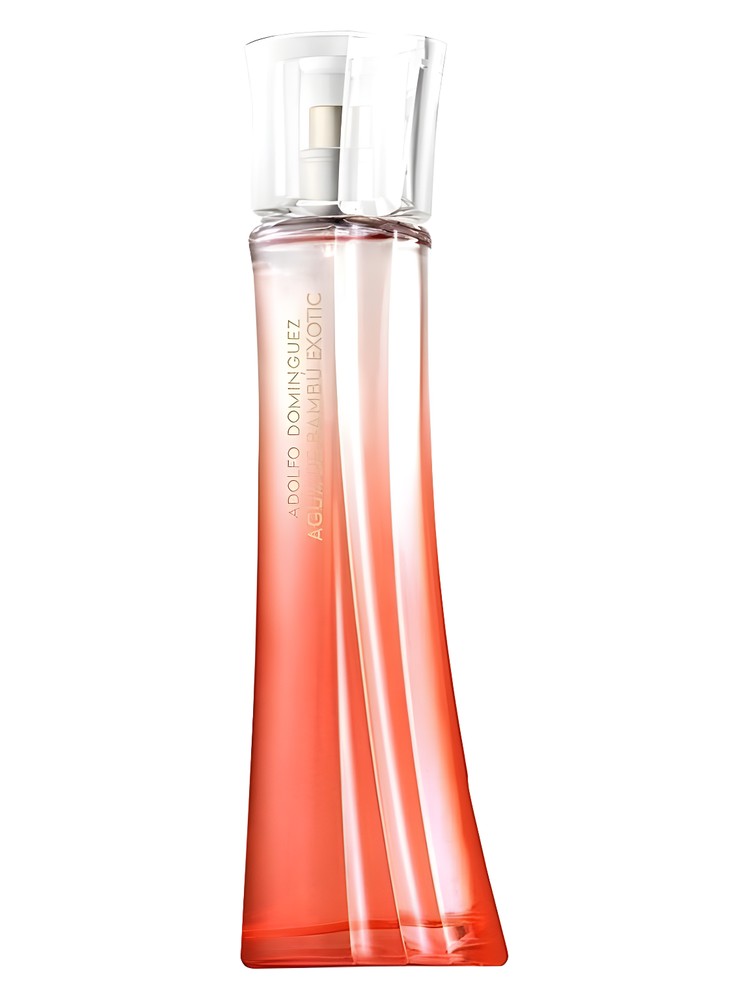 Agua de Bambu Exotic for Her – Adolfo Dominguez