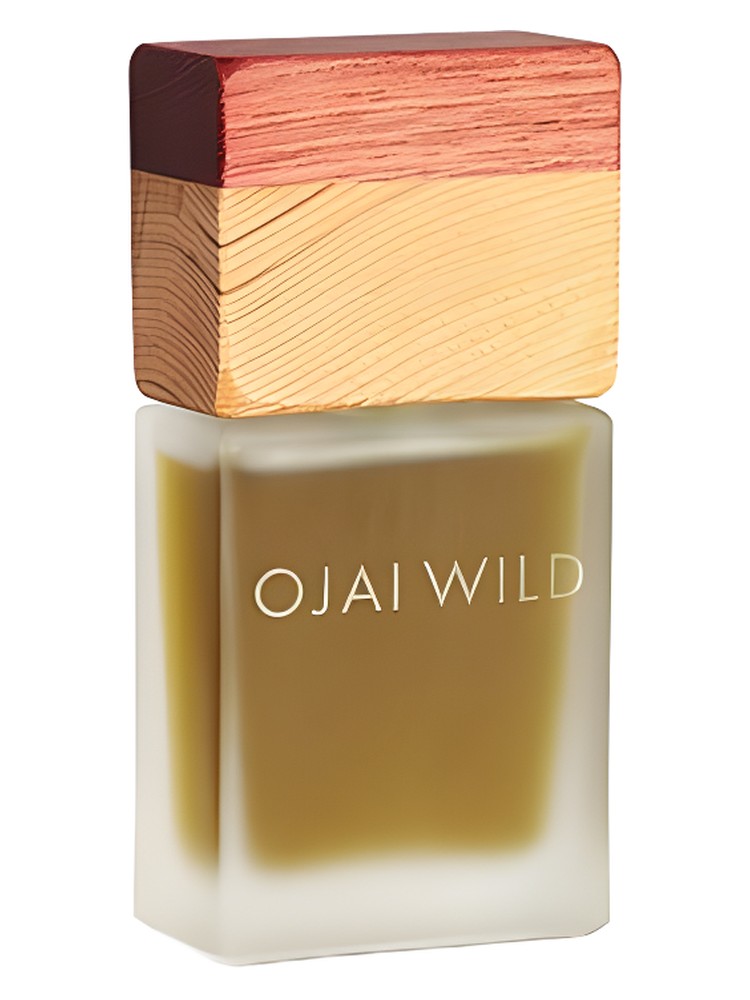 White Sage Leaves – Ojai Wild
