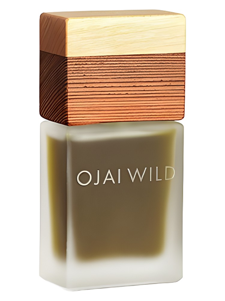 Redwood Leaves – Ojai Wild
