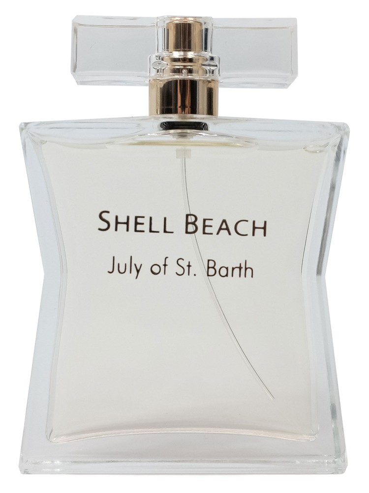 Shell Beach – July St Barthelemy