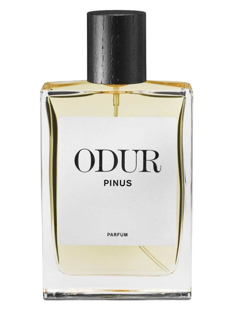 Pinus – ODUR