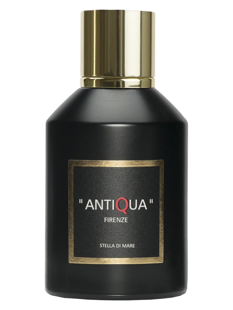 Stella Di Mare – Antiqua Firenze