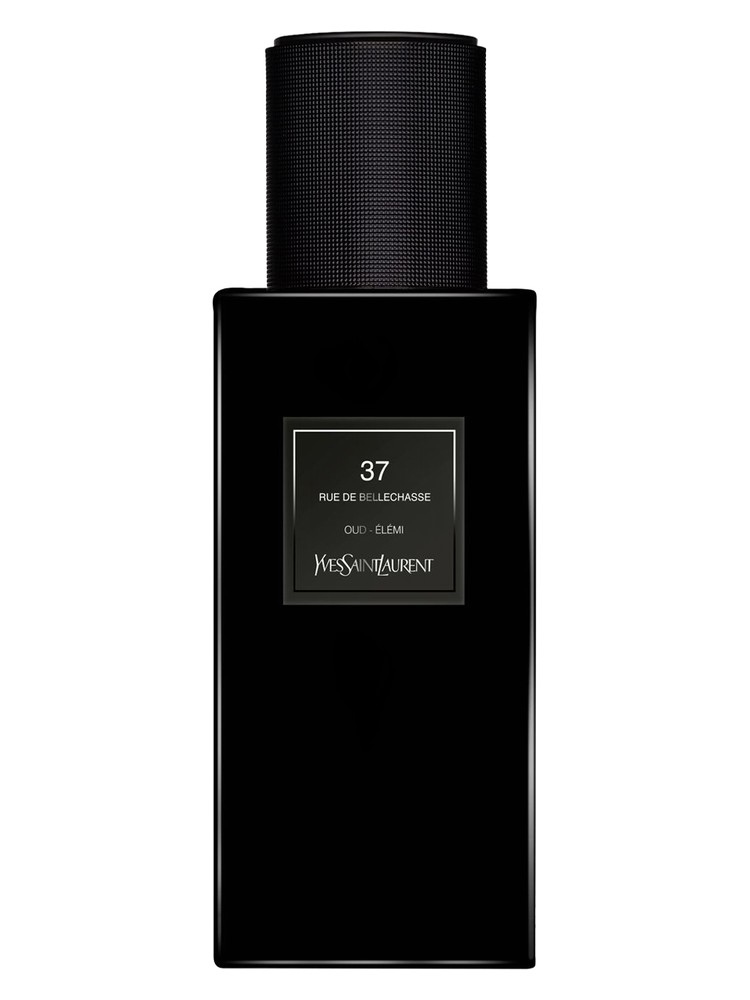37 rue de Bellechasse – Yves Saint Laurent