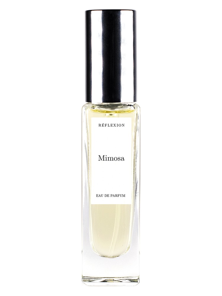 Mimosa – Reflexion