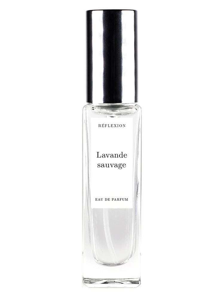 Lavande Sauvage – Reflexion