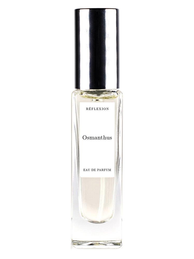 Osmanthus – Reflexion