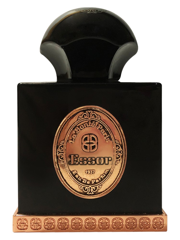 Essor – La Bonte Paris