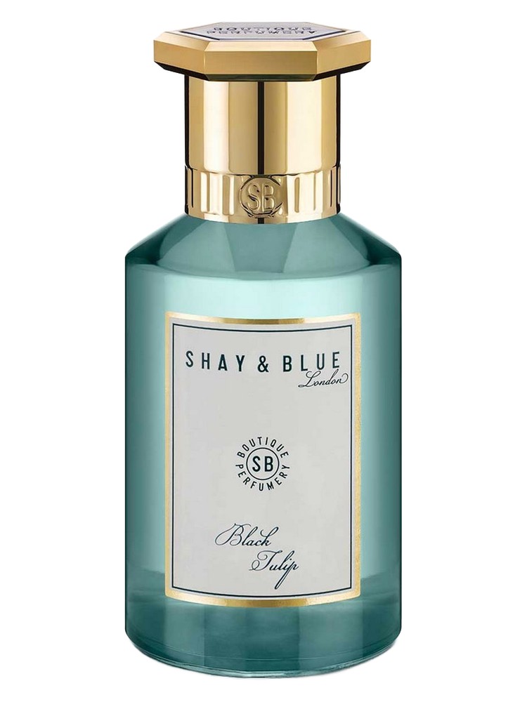 Black Tulip – Shay & Blue London