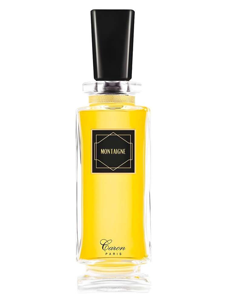 Montaigne – Caron