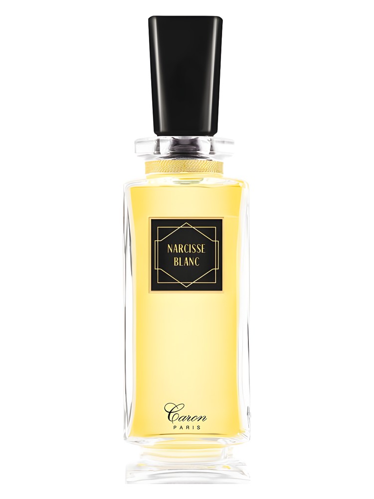 Narcisse Blanc – Caron