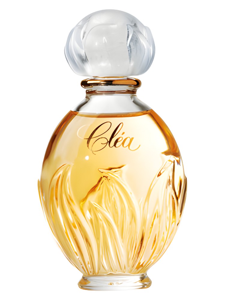 Clea – Yves Rocher