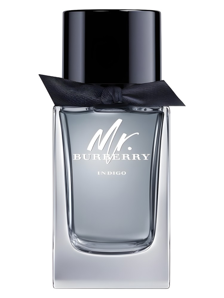 Mr. Burberry Indigo – Burberry