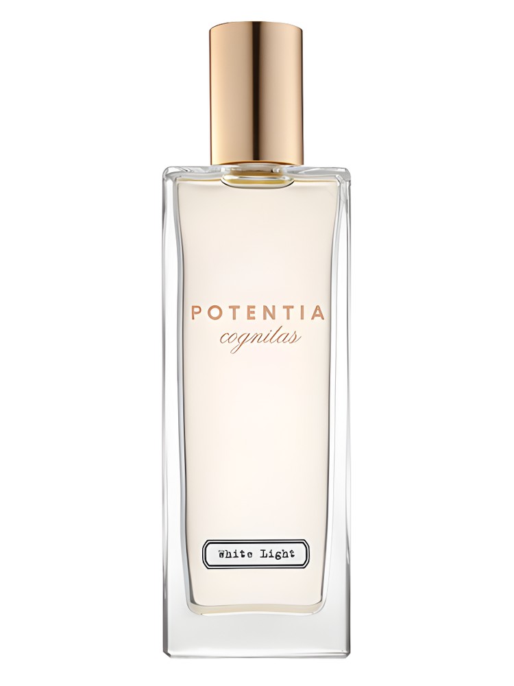 White Light – The House Of Potentia