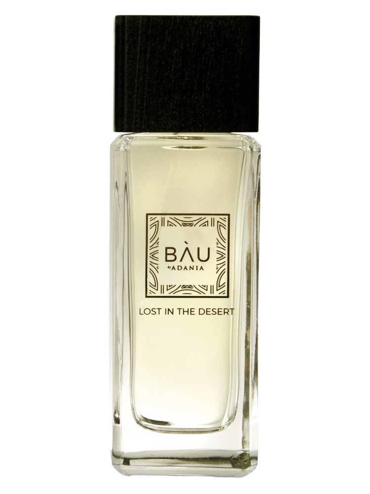 Lost In The Desert – BAU