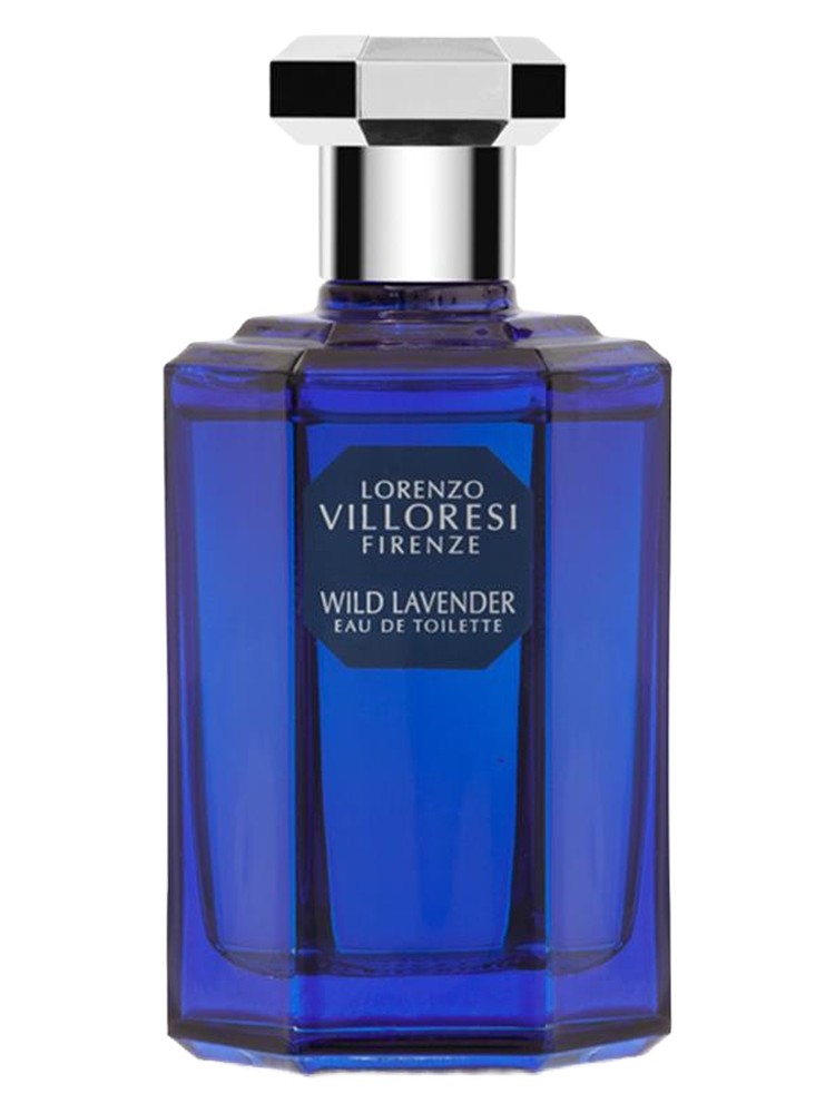 Wild Lavender – Lorenzo Villoresi