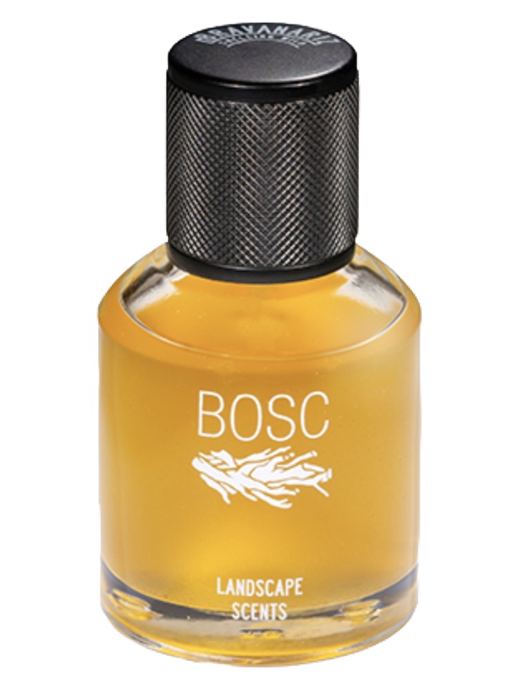 Bosc – Bravanariz