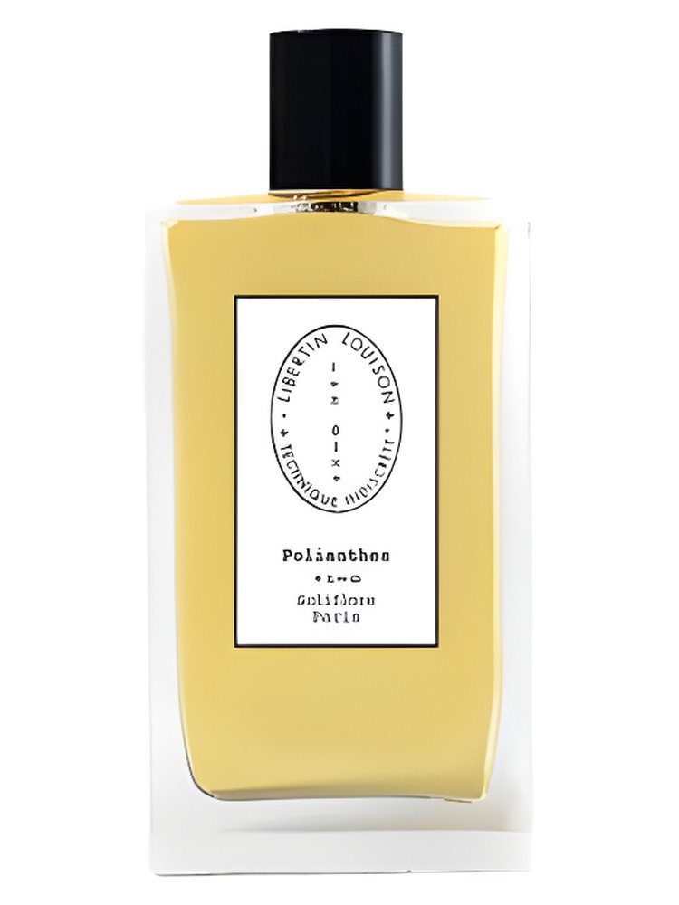Polianthes – Libertin Louison Technique Indiscrete