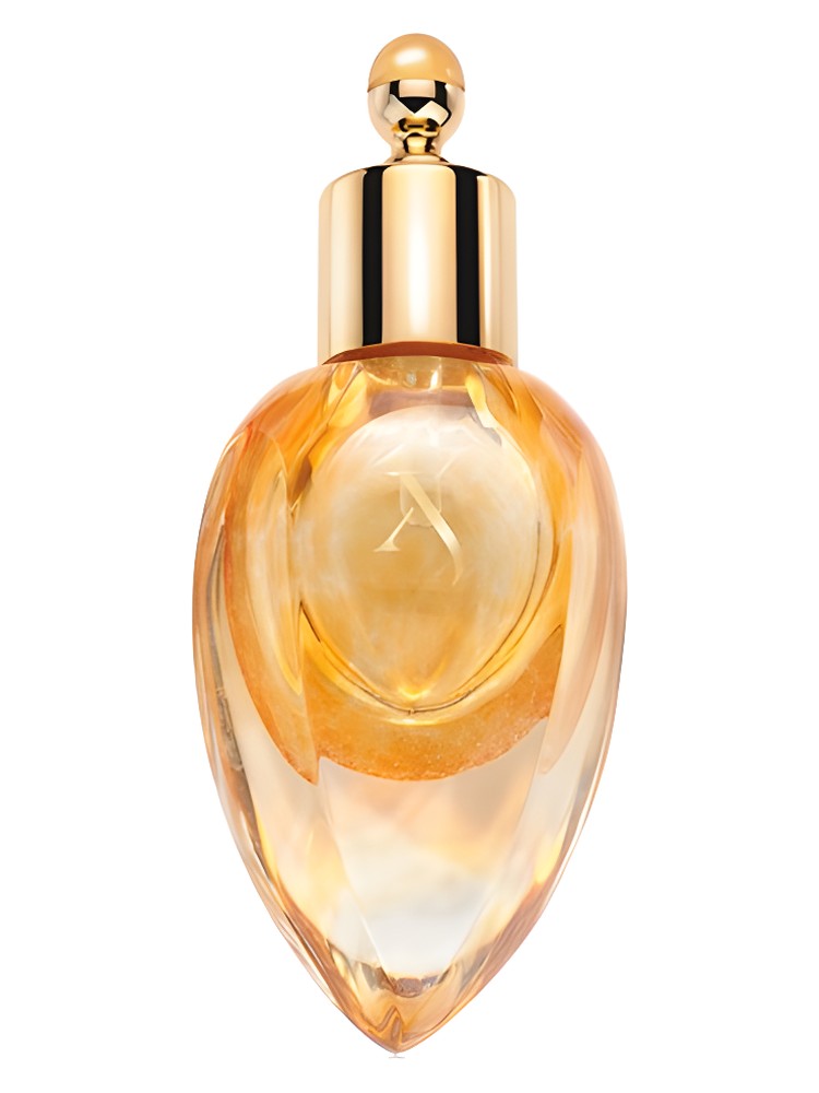 Richwood Perfume Extract – Xerjoff