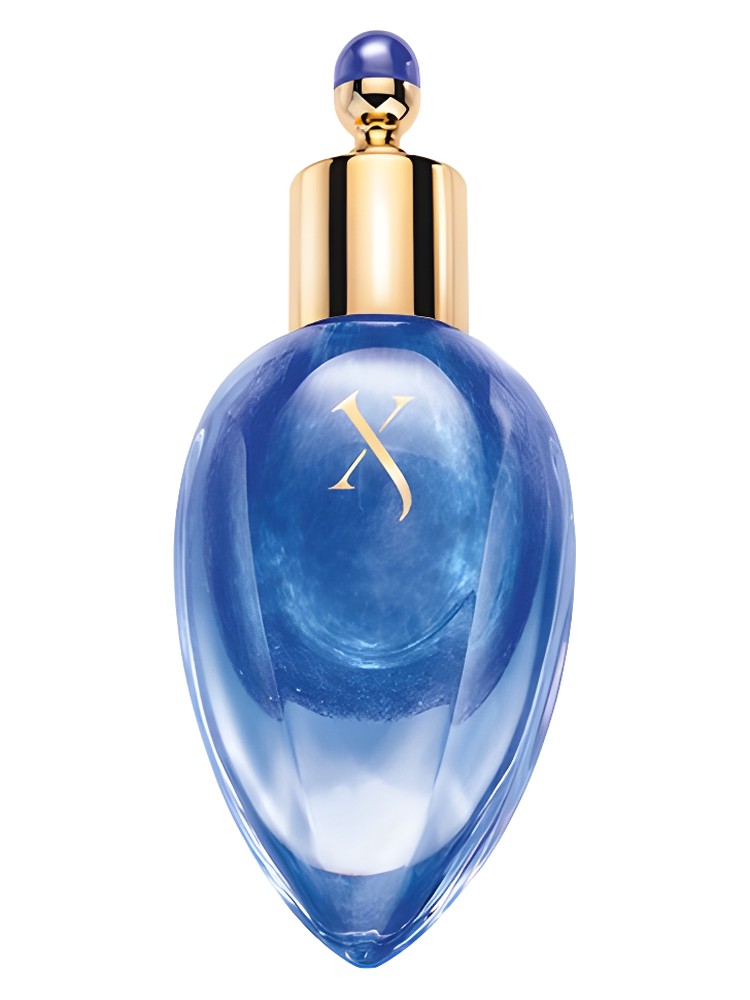 XXY Perfume Extract – Xerjoff