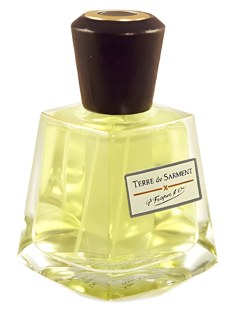 Terre de Sarment – Frapin