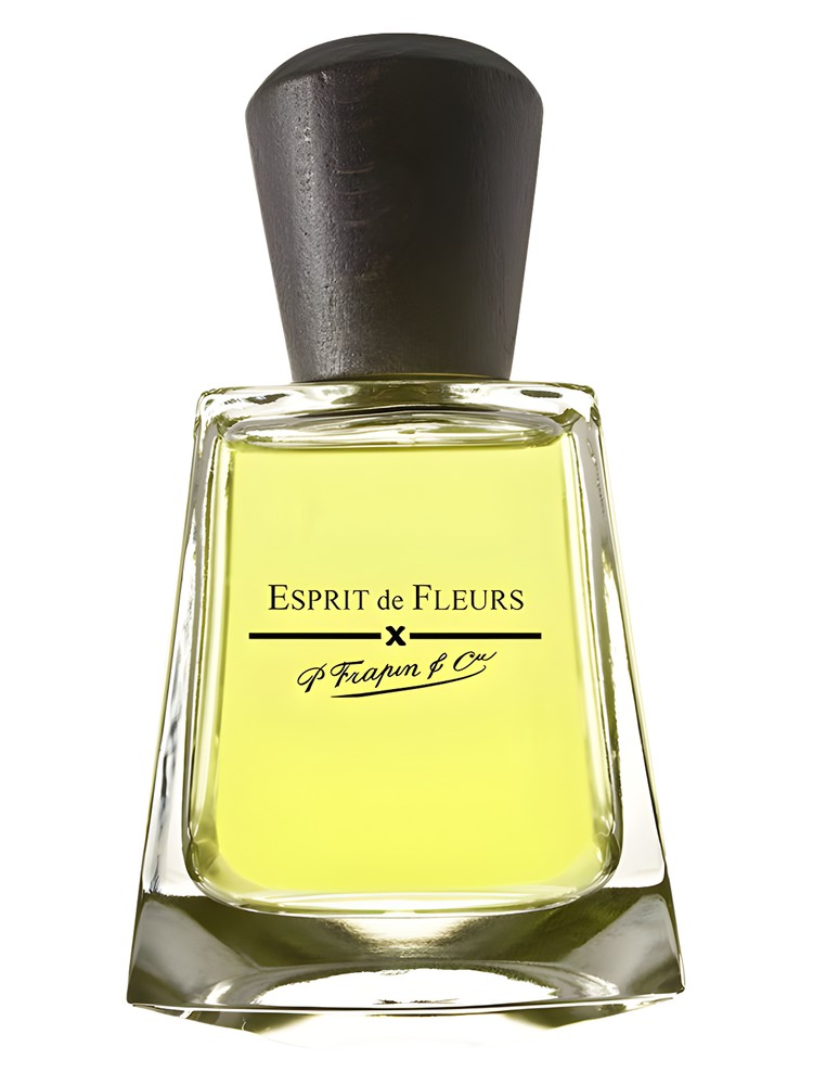 Esprit de Fleurs – Frapin