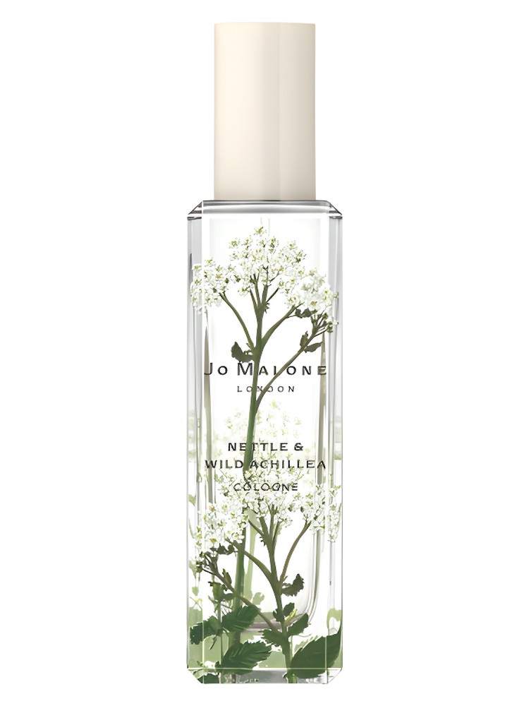 Nettle & Wild Achillea – Jo Malone London