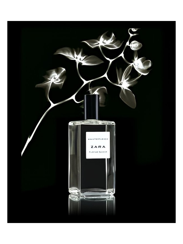 Flor de Azahar – Zara