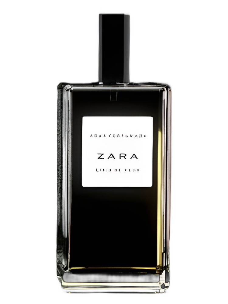 Lirio de Agua – Zara
