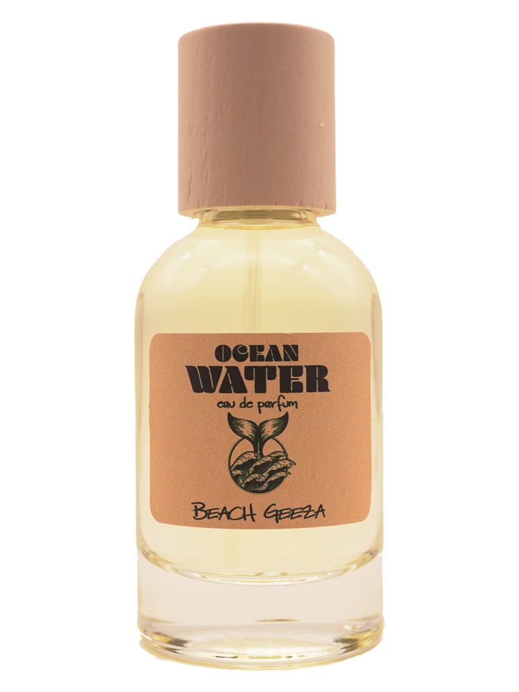 Ocean Water – Beach Geeza
