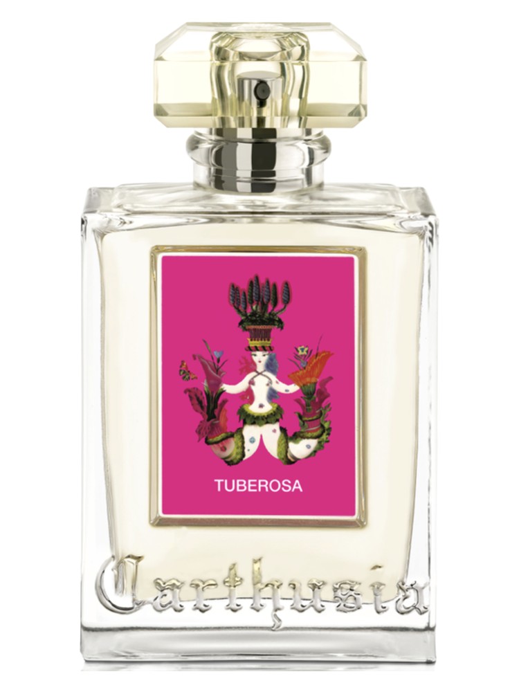 Tuberosa – Carthusia