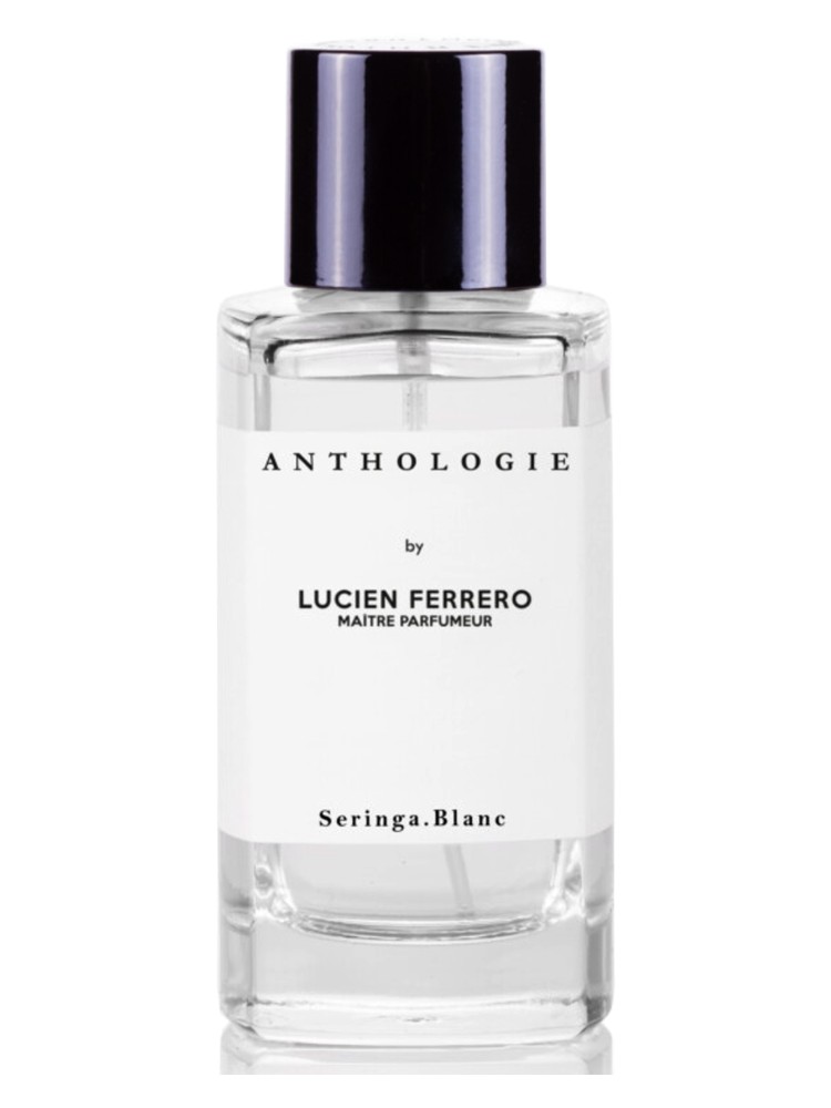 Seringa Blanc – Anthologie