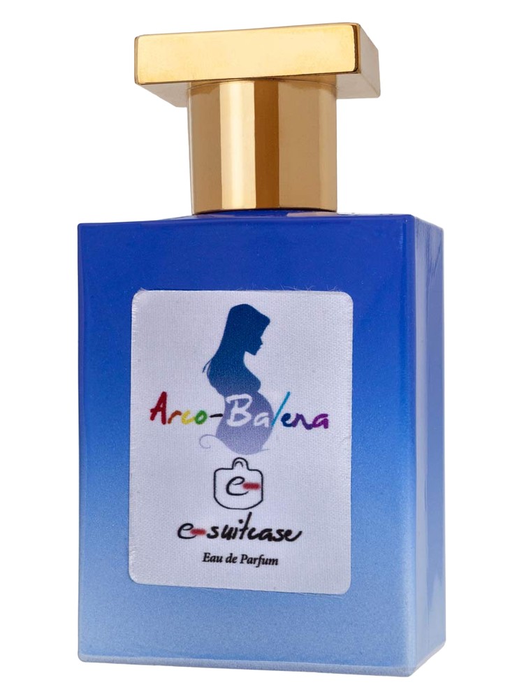 Arco-Balena – e-Suitcase