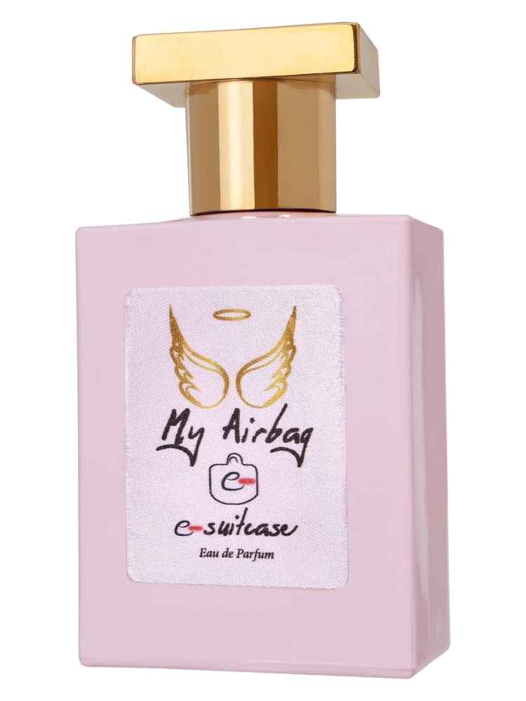 My Airbag – e-Suitcase