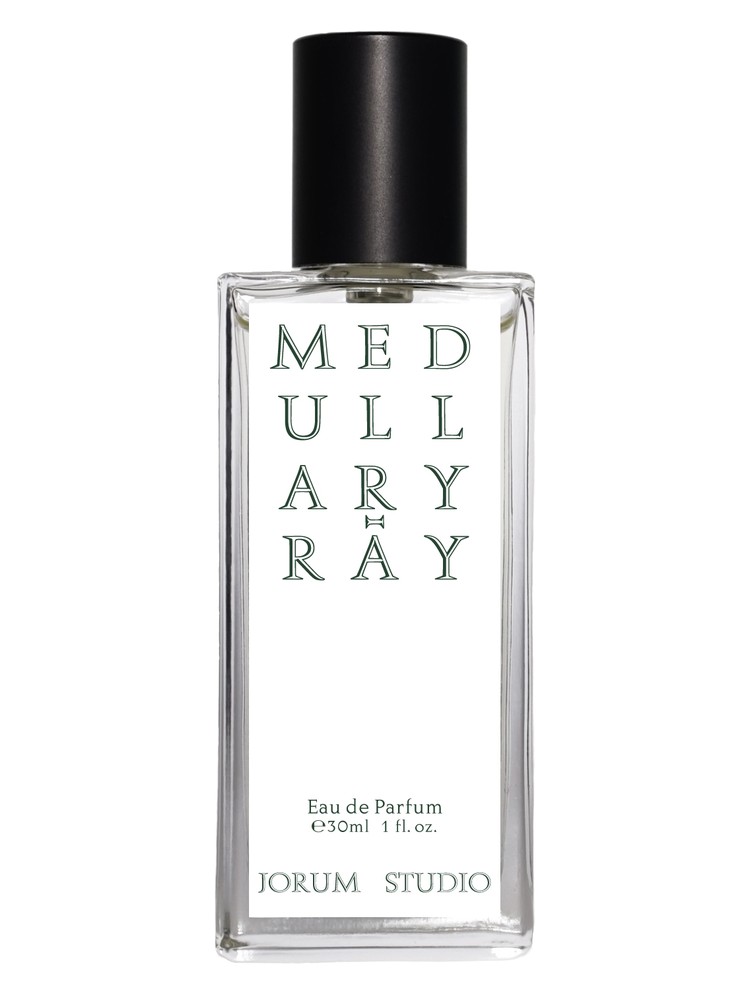 Medullary-ray – Jorum Studio
