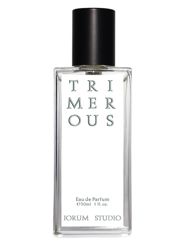 Trimerous – Jorum Studio