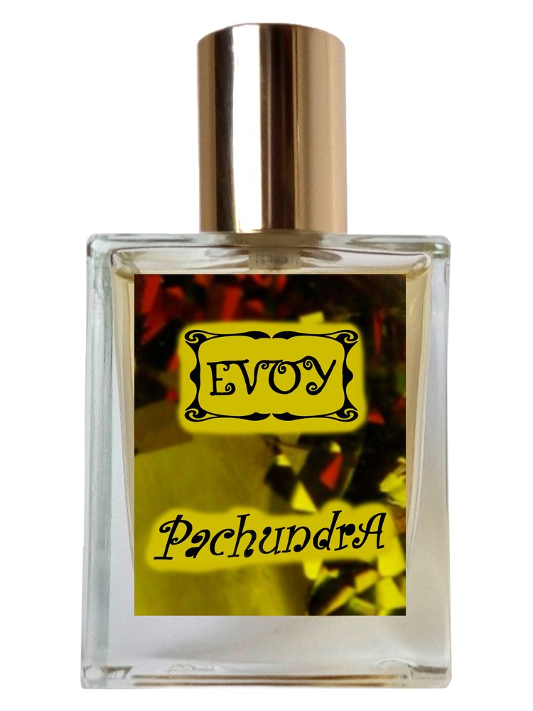 Pachundra – EVOY