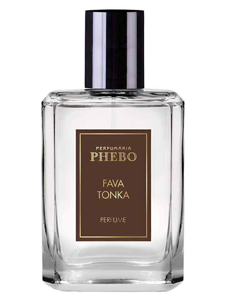 Fava Tonka – Phebo